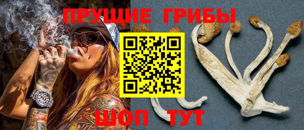 Отрадное  купить наркотик  Вход с VPN  Галлюциногенные грибы GOLDEN TEACHER 