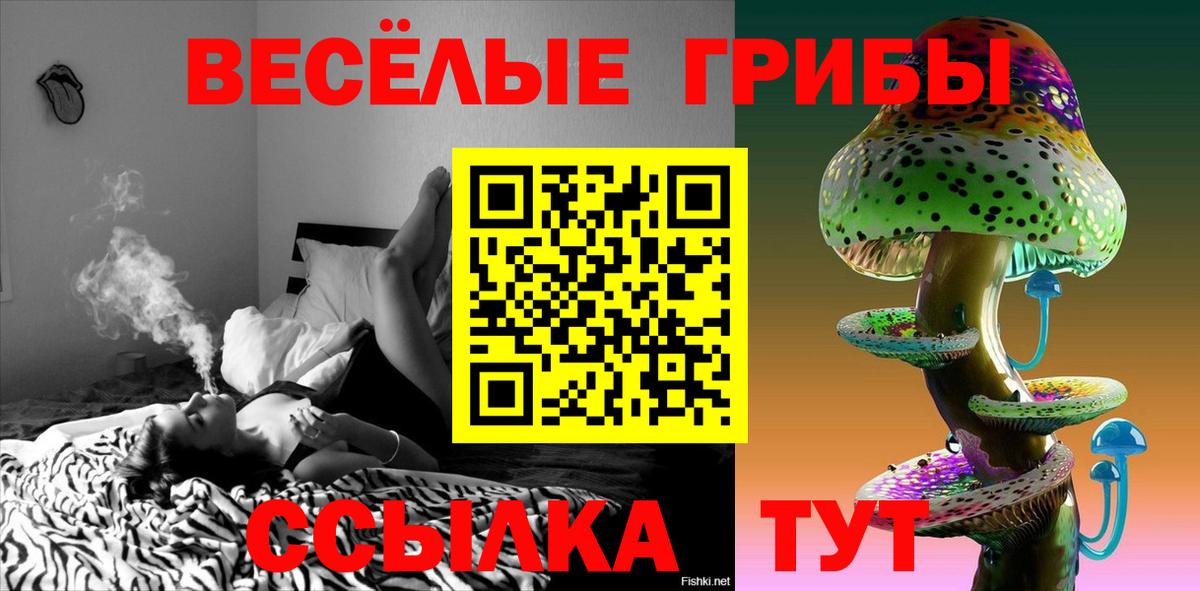 Галлюциногенные грибы прущие грибы Отрадное